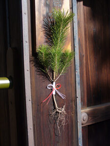 New Year's Day and Good Luck Items in Kyoto