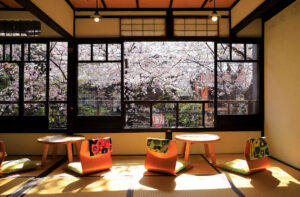 Kyoto - A restaurant with a view of cherry blossoms