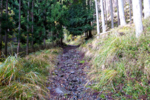 明智光秀ゆかりの城山で「京の山の怪」に遭う