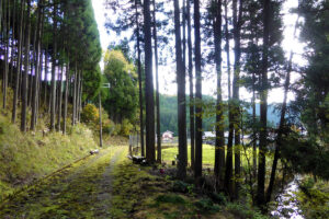 明智光秀ゆかりの城山で「京の山の怪」に遭う