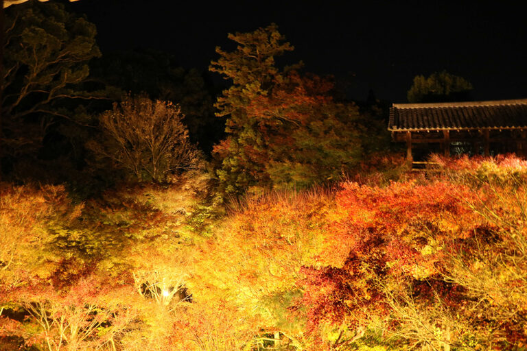 Tofukuji Temple