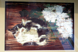 「光清寺」の浮かれ猫