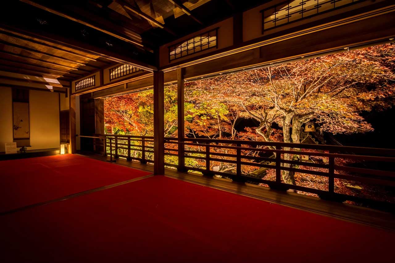 柳谷観音紅葉ウィーク2025／楊谷寺 | Leaf KYOTO