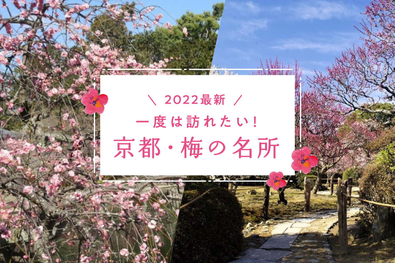 京都 梅 の 名所