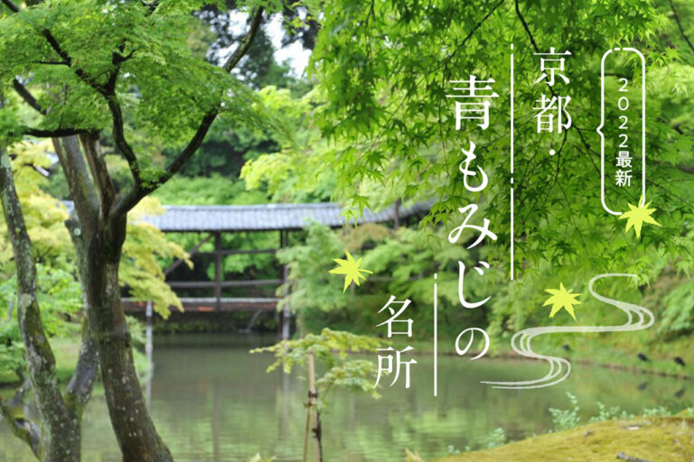 Special feature on famous green maple spots in Kyoto