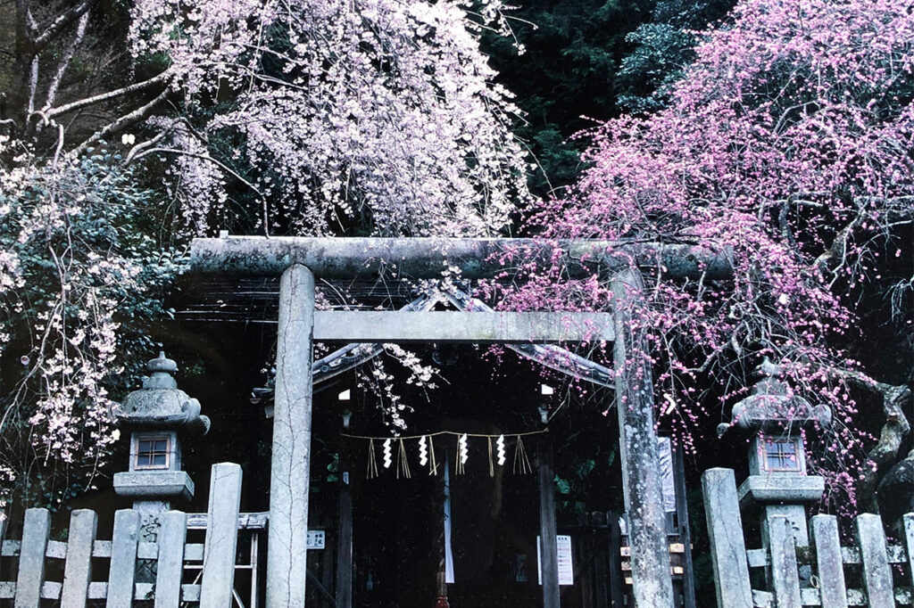 Otoyo Shrine