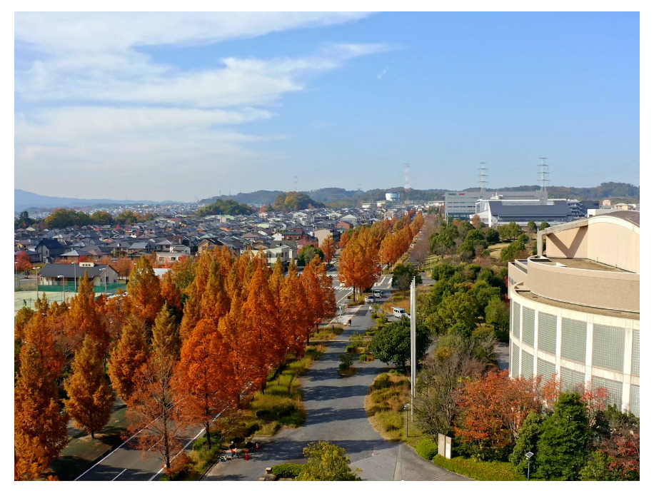 精華町