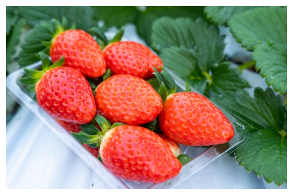 strawberry (esp. the garden strawberry, Fragaria x ananassa)