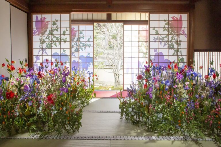 Flowering Kyoto