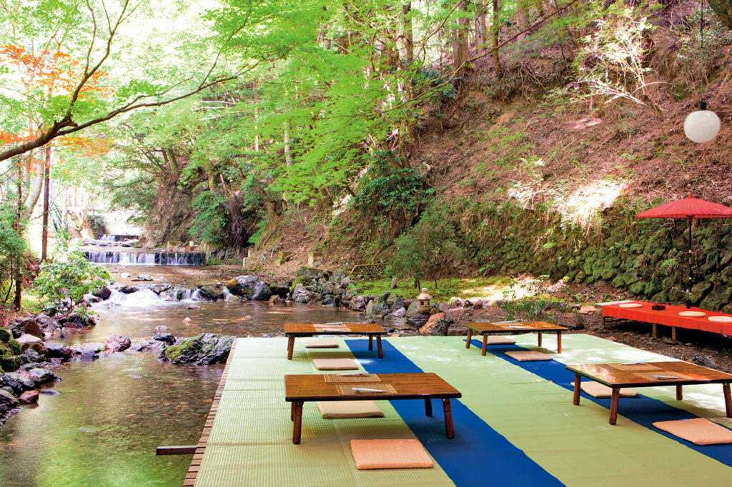 鸟居茶屋新南