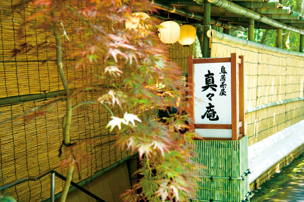 鸟居茶屋新南