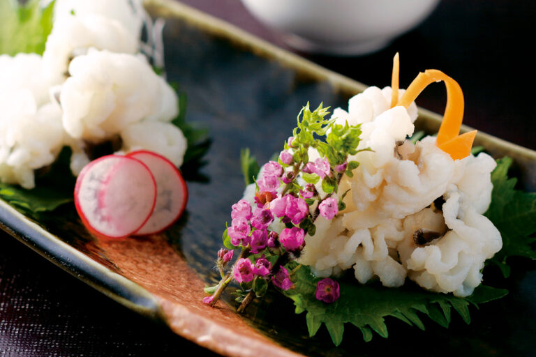 四季 よし菜