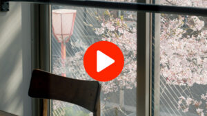 京都で桜の見えるお店を動画でもご紹介！