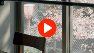 Also introduces a video of a restaurant with a view of cherry blossoms in Kyoto!