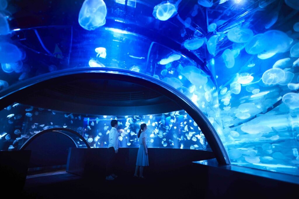 Jellyfish Wonder at Kyoto Aquarium