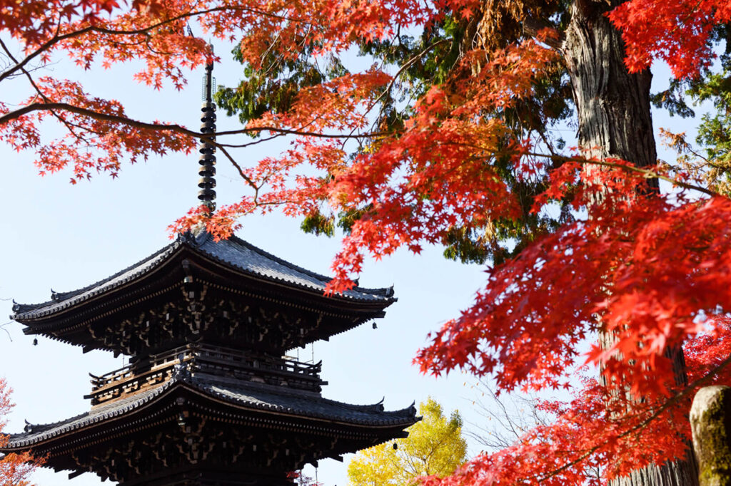 Yangkuji Temple