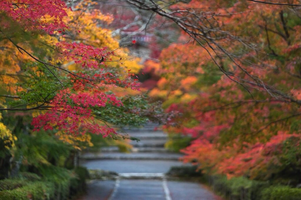 Nison-in Temple