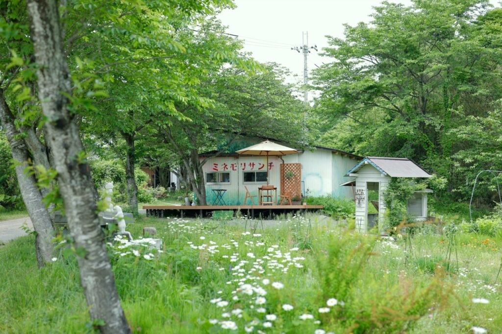 峰森鲜花、米饭和蔬菜三明治