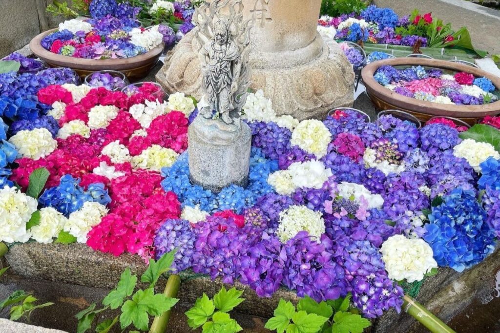 三室戸寺の花手水