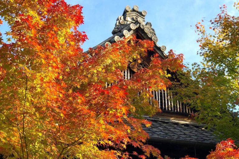 The main gate of Shorinji Temple