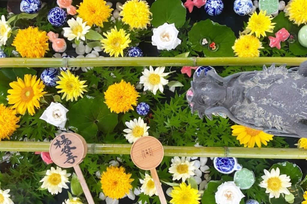 Hana-Tezui (flower water) at Yangtani-ji Temple