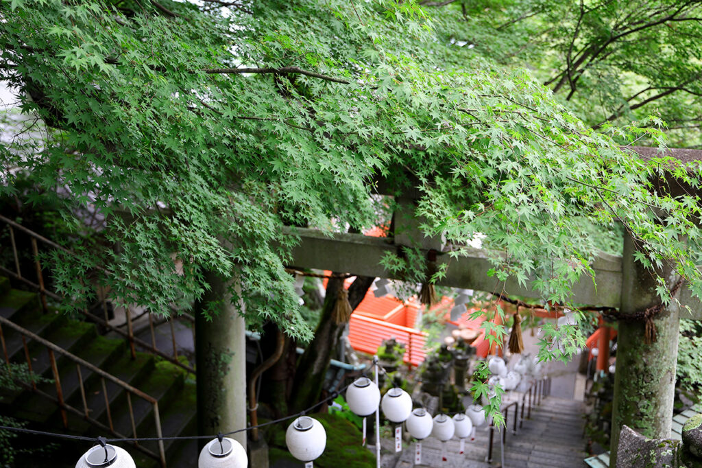 阿賀神社の本殿へ続く階段