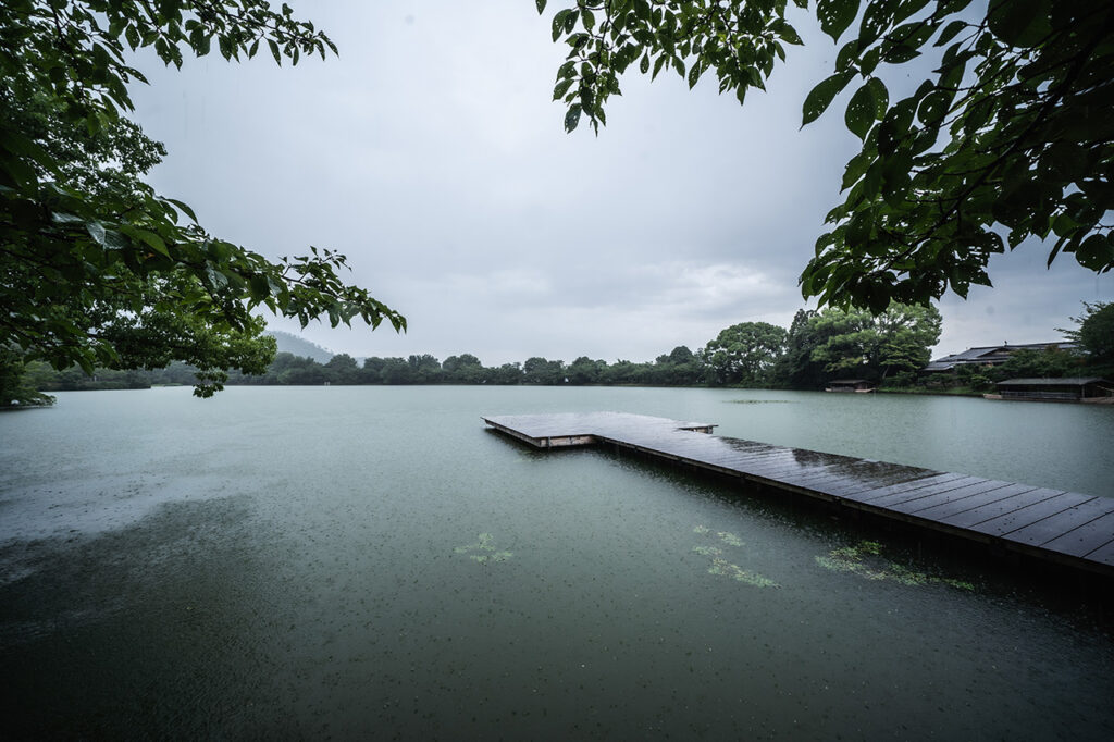 大沢の池