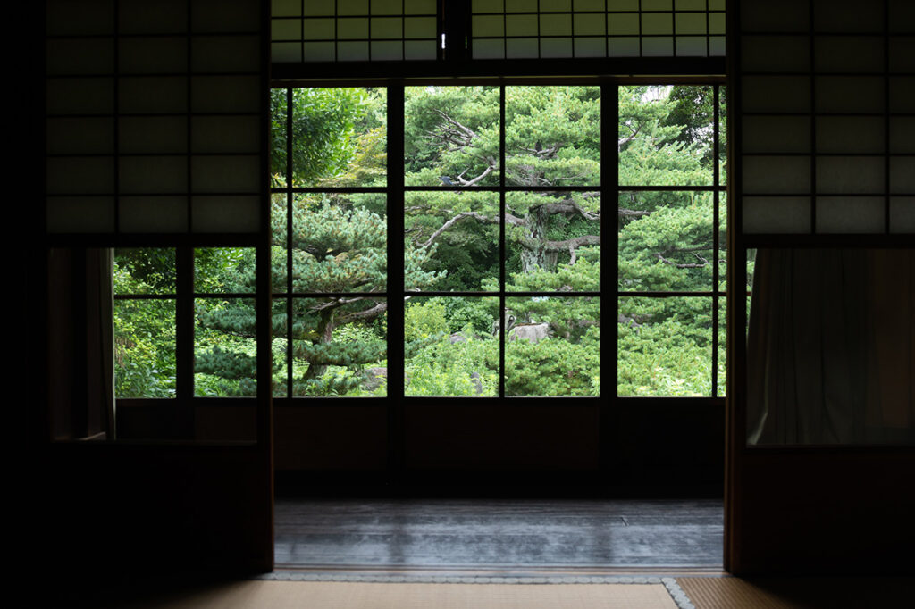 From Goyomatsu (five-leaf pine tree) and Shoin at Koshoin Temple
