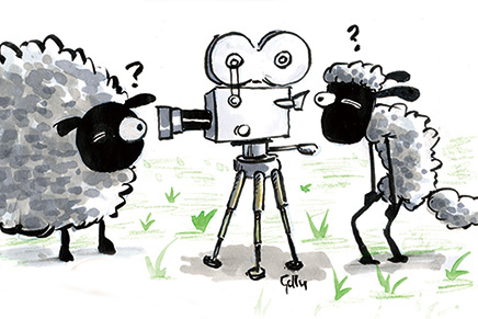 Sheep Shaun Exhibition