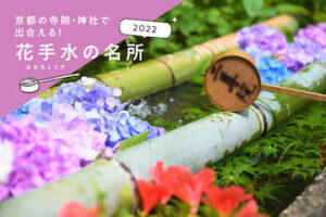 Encounter at temples and shrines in Kyoto! Places for flower arrangement and hand-watering