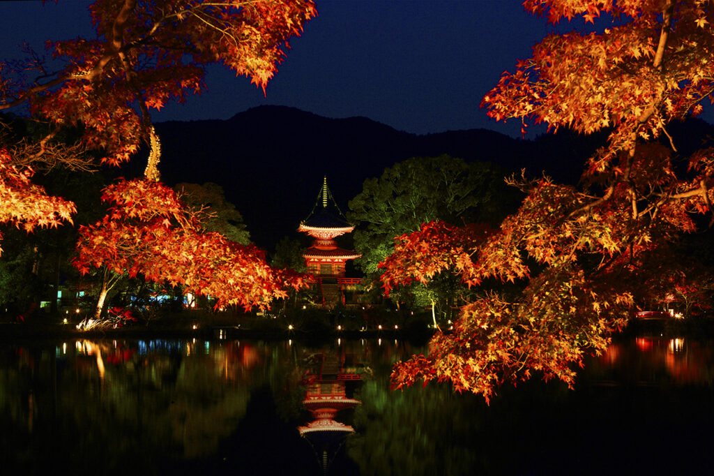 Light up Daikakuji Temple