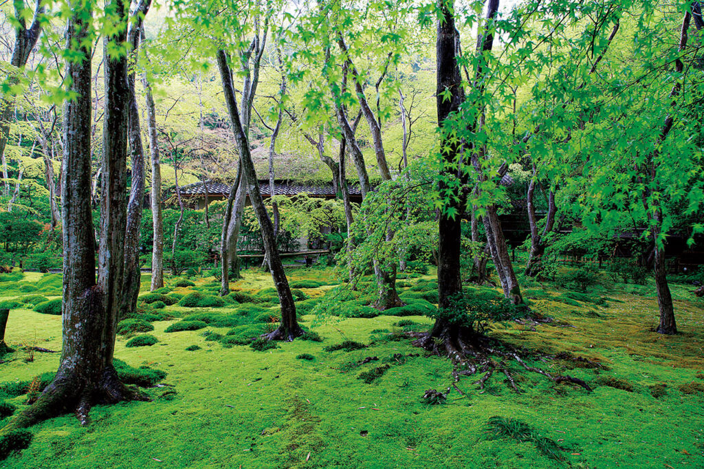 Gio-ji Temple