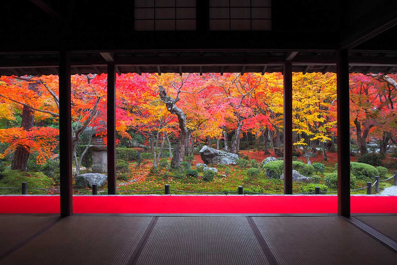 JC圓光 雨の京都観光］雨の日こそ訪れてほしい！おすすめのお寺10選 | Leaf KYOTO