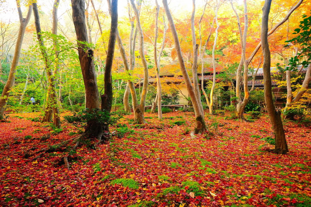 Gio-ji Temple