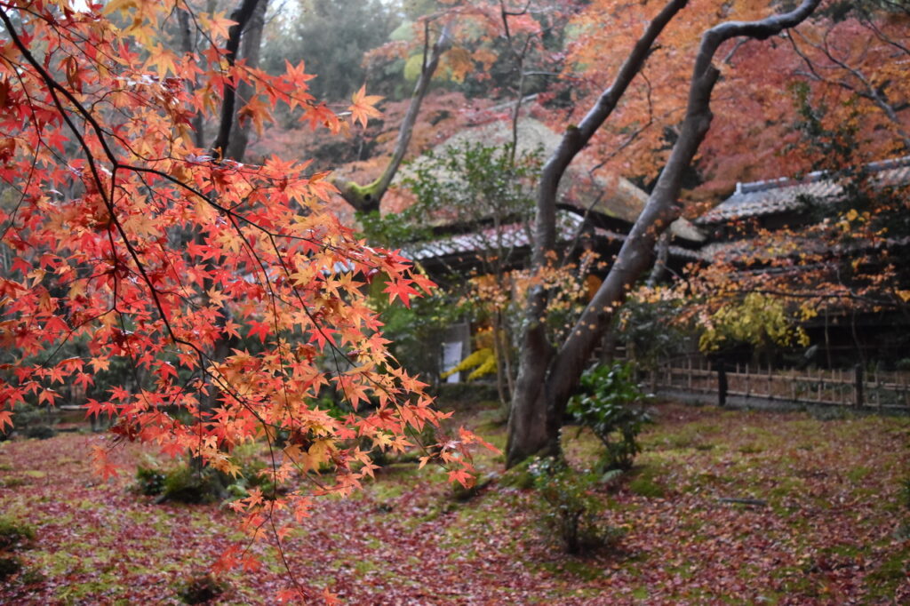 Gio-ji Temple