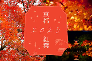 Click here for information on the best time to view the autumn leaves in Kyoto! Updating one after another!