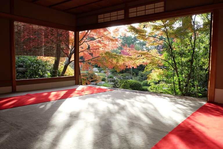 退蔵院
