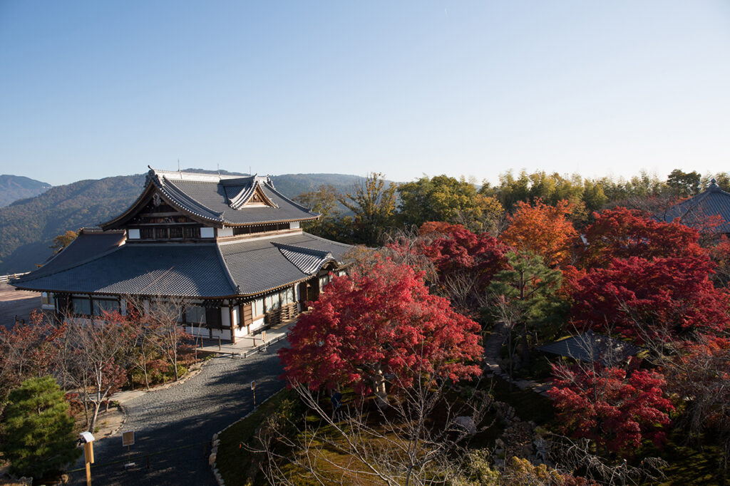 将軍塚青龍殿の紅葉