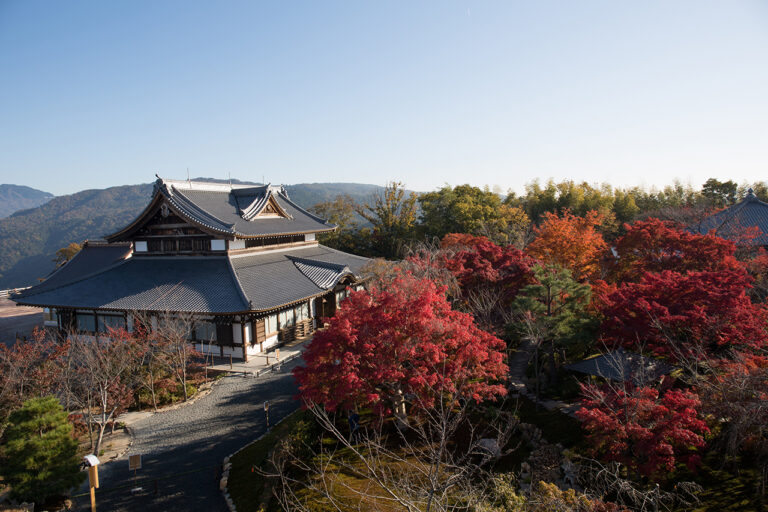 Autumn leaves of Shogunzuka Seiryuden