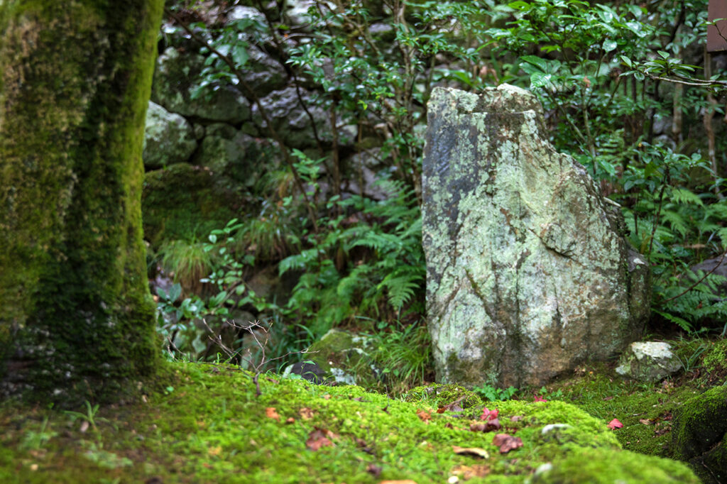 Kannon of Shojiji Temple