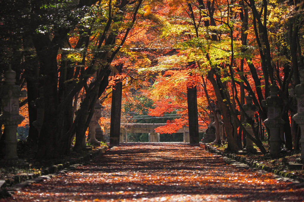 大原野神社