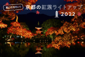 京都・紅葉のライトアップ情報はこちらから！