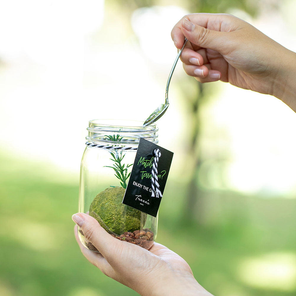 TREEE'S KYOTO Matcha Terrarium -Leaf Limited Special- "Tea Leaf Set"