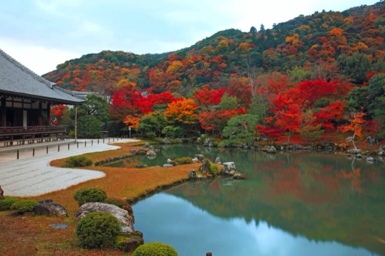 Autumn leaves of Tenryu-ji Temple