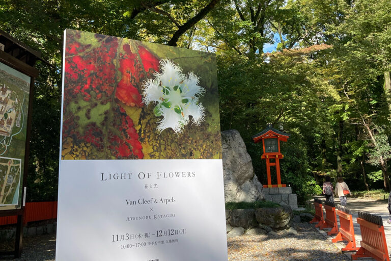 Exhibition "LIGHT OF FLOWERS Flowers and Light