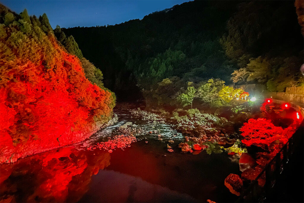 光の幻想列車