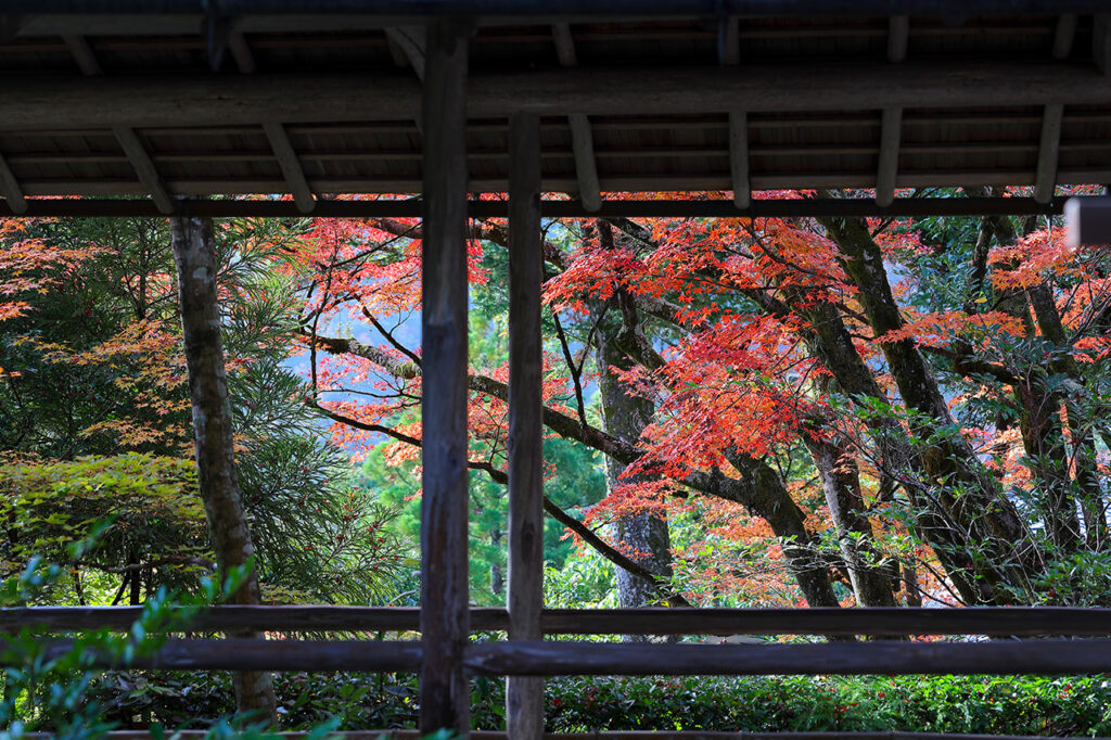 Koetsuji Temple