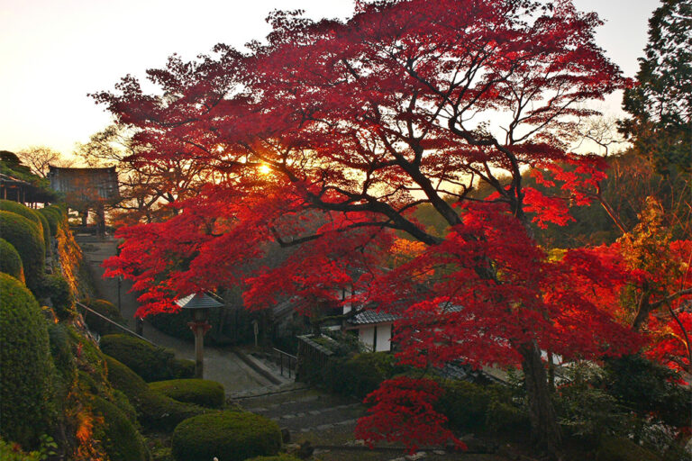 Yoshimine-ji Temple