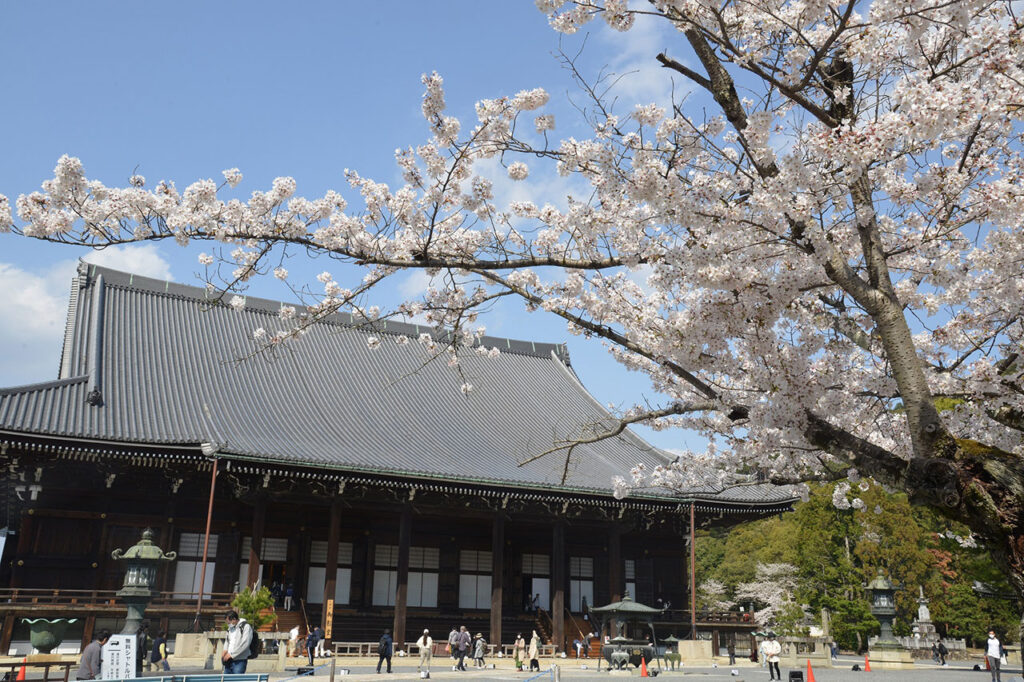 知恩院