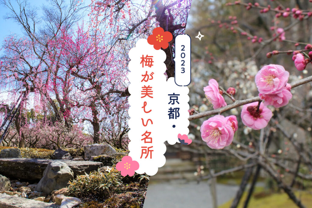 Famous spots for beautiful plum blossoms in Kyoto